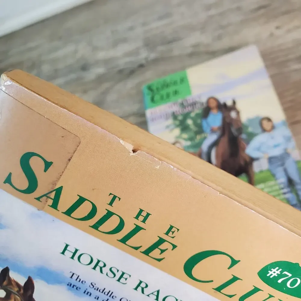 Saddle Club saddle club